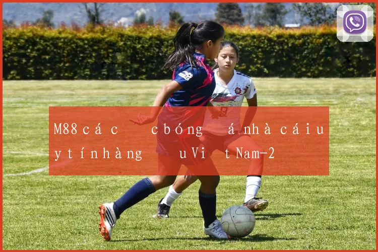 M88 cá cược bóng đá nhà cái uy tín hàng đầu Việt Nam