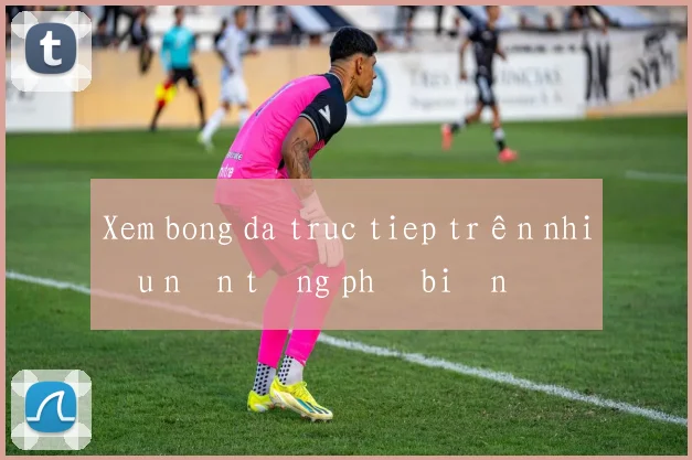 Xem bong da truc tiep trên nhiều nền tảng phổ biến