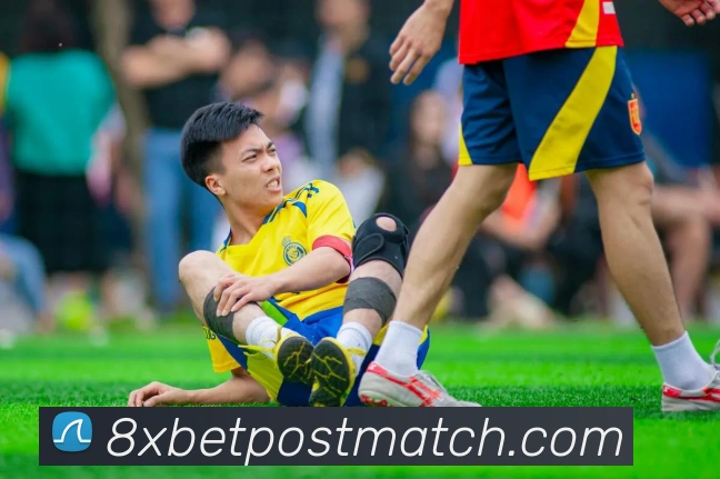domain 8XBET mới Quá trình phát triển